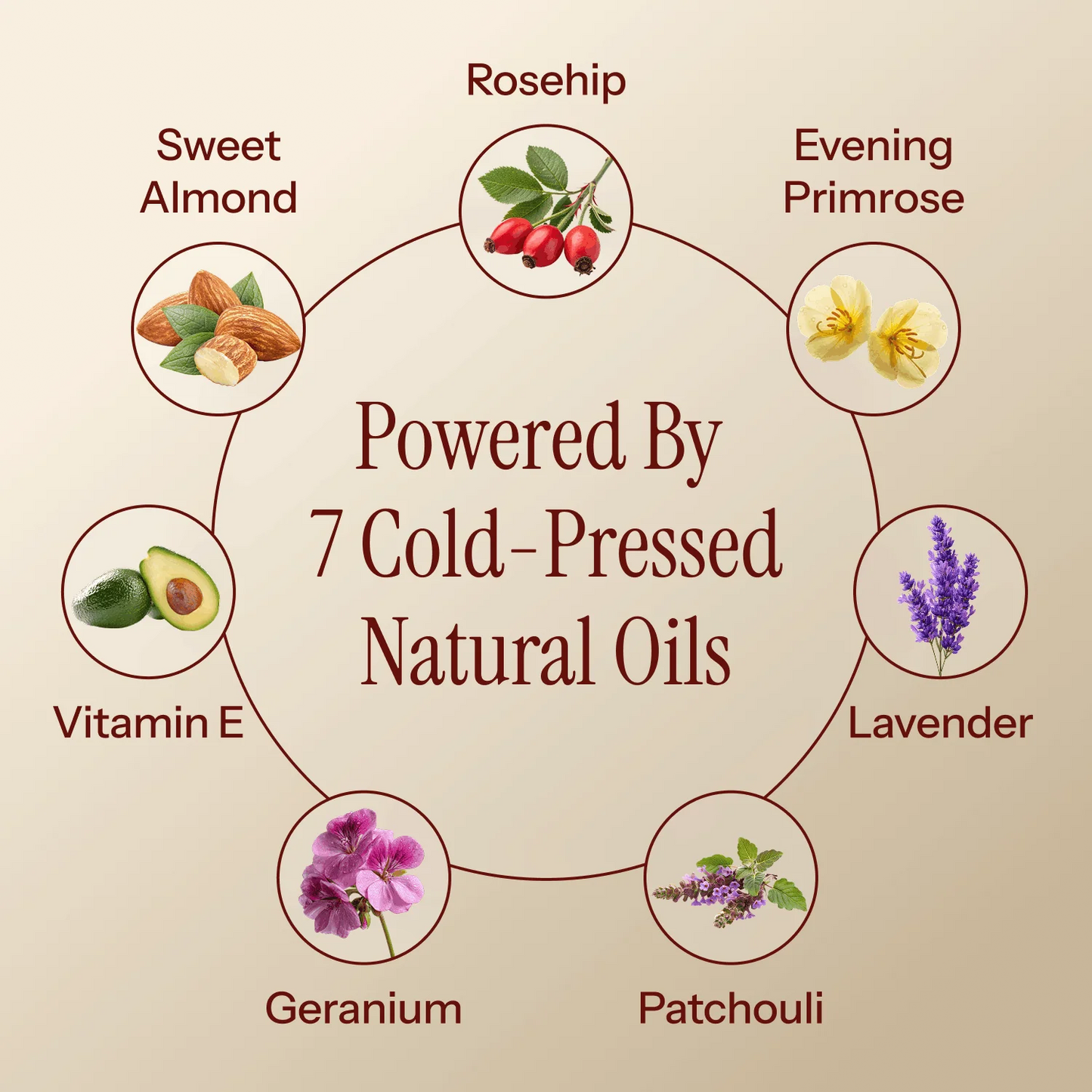 Magic Body Oil™
